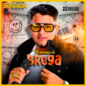 Ze Bregao- NO MAXIMO DO BREGA 2.0 - NOVO 2025