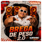 GORDINHO SAFADO  BREGA DE PESO 2.0 - NOVO 2026
