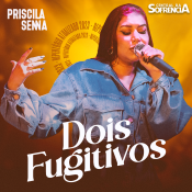 Dois fugitivos - Priscila Senna 2023 - 2023