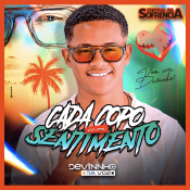 Devinho na voz - cada copo um sentimento - NOVO 2026
